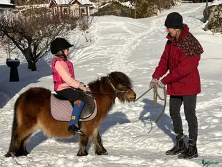 foderhäst Sommarponny? - Annons 2