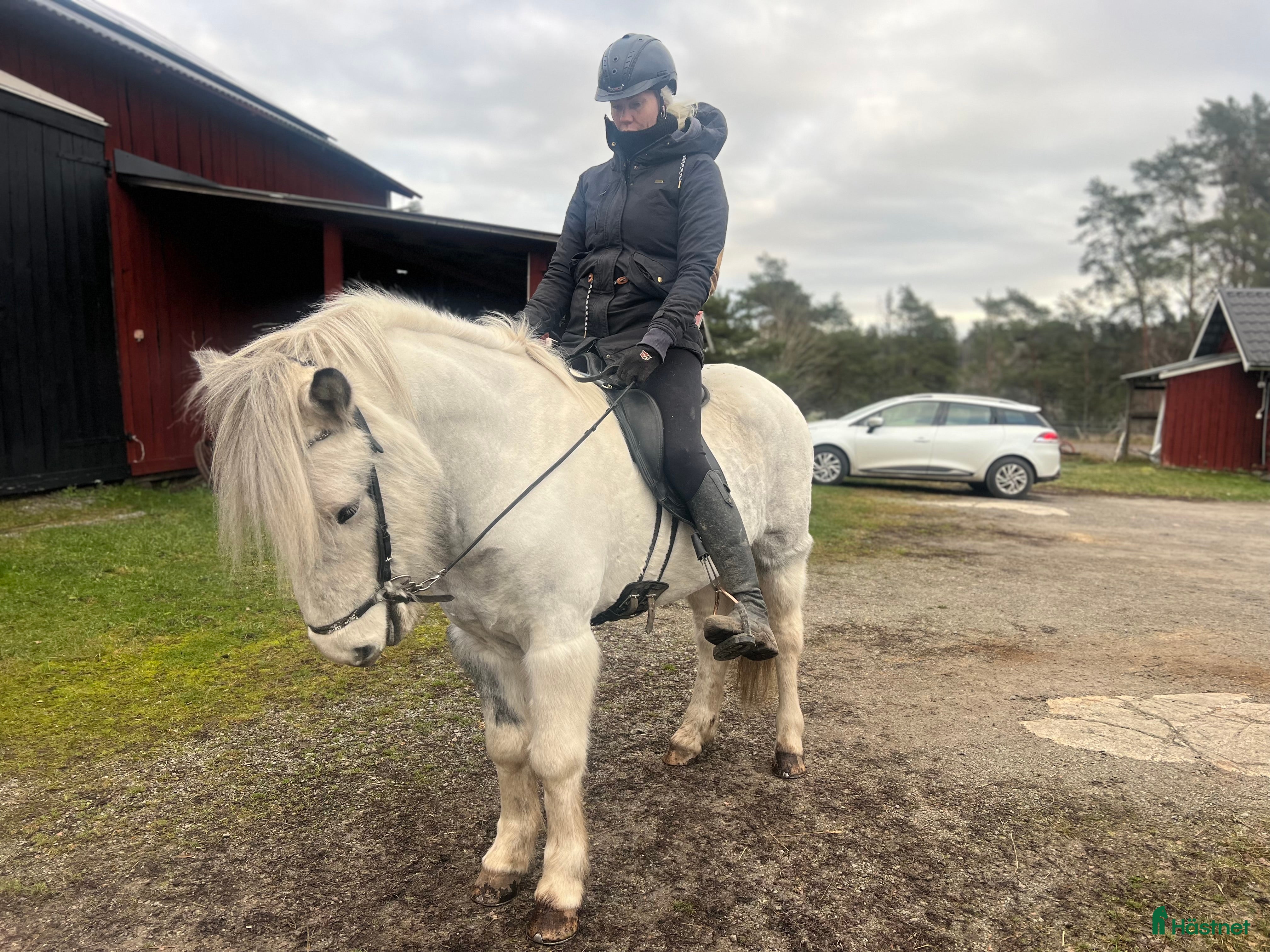  hästar Valack och sto flotta! i Rosersberg - Annons 10