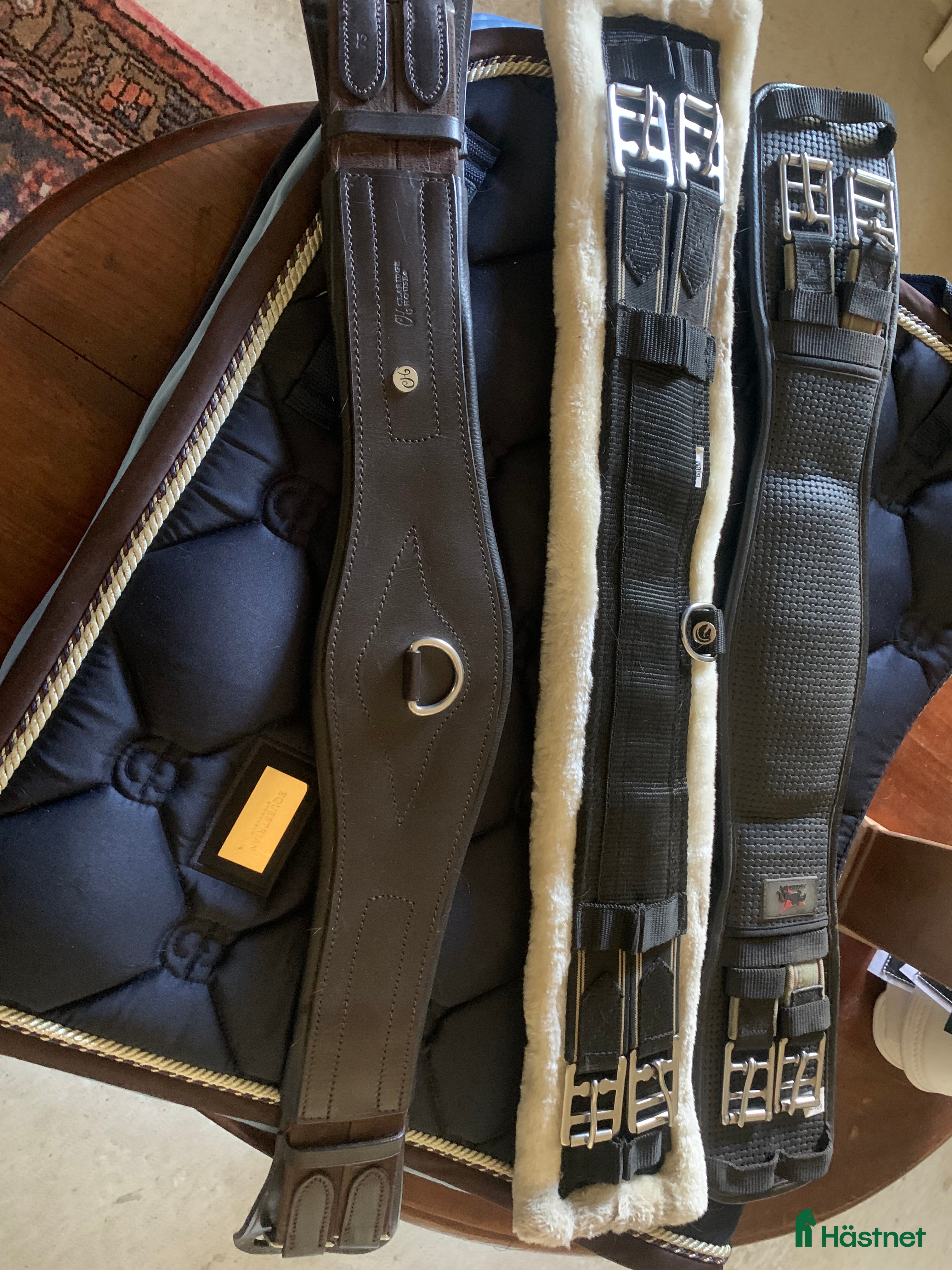 Sadeltillbehör hästutrustning Dressyrgjordar i Sölvesborg - Annons 4