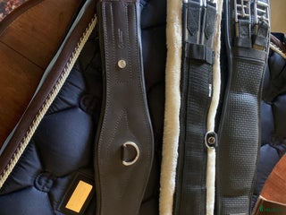 Sadeltillbehör hästutrustning till salu: Dressyrgjordar i Sölvesborg - Annons 2