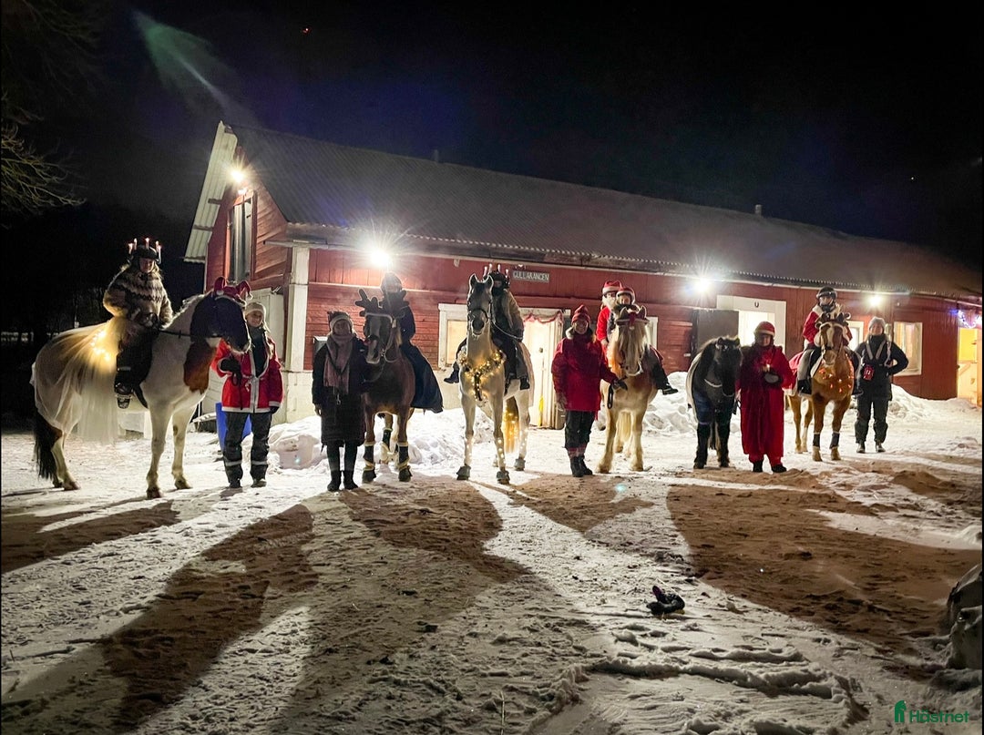  stallplats finnes: Ledig stallplats i Huddinge i Huddinge - Annons 1