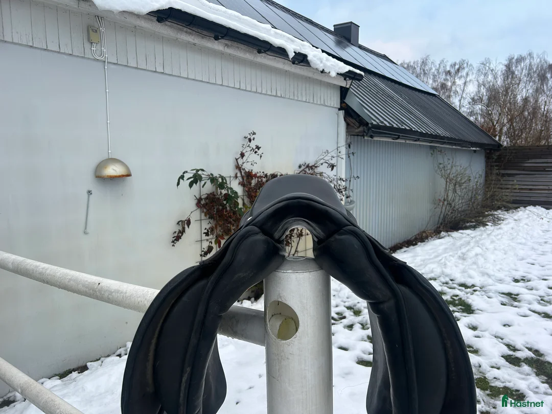 Sadlar hästutrustning till salu: Trainer’s Dressyr/islands sadel  i Kristianstad - Annons 4