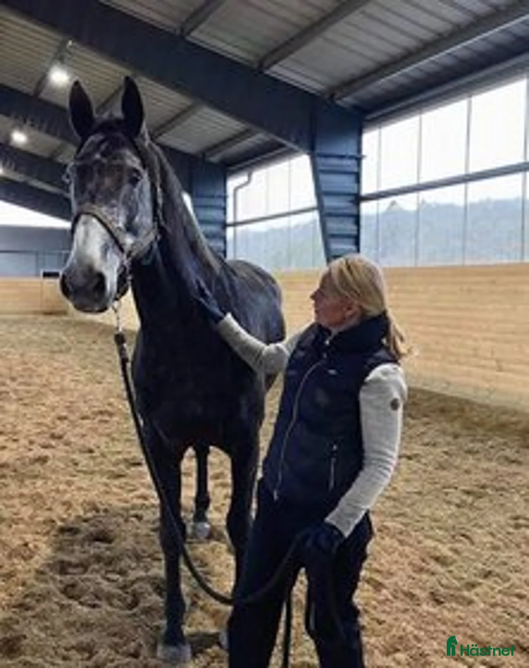 Galleribild {{count}}