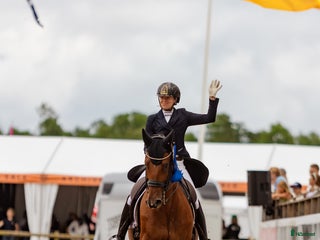 hästjobb Hästskötare till tävlingsstall i Smedstorp - Annons 10