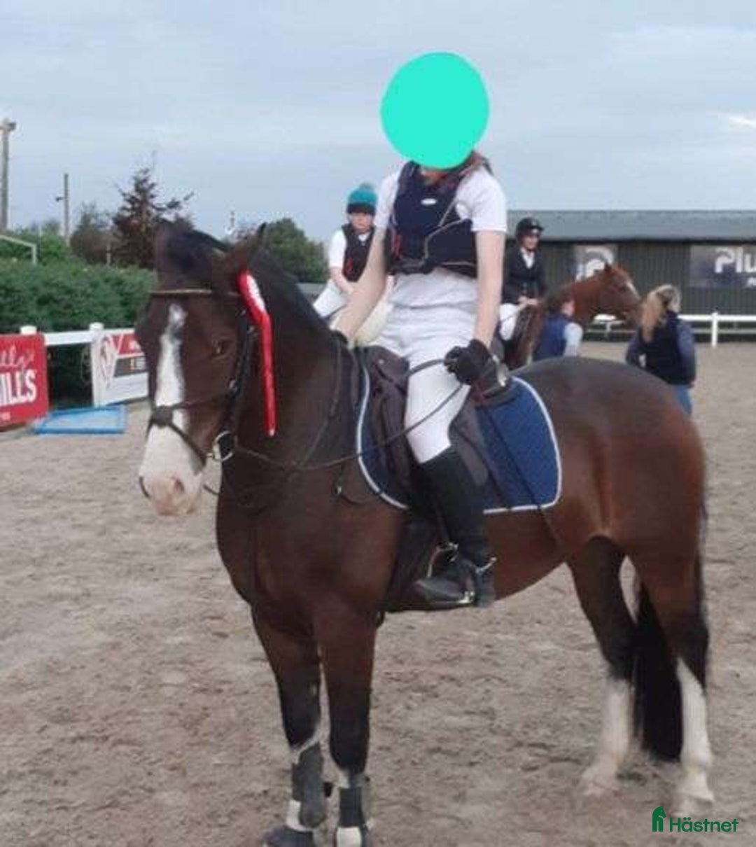 Hoppning hästar till salu: Welsh gelding 140cm i Ljungby - Annons 7