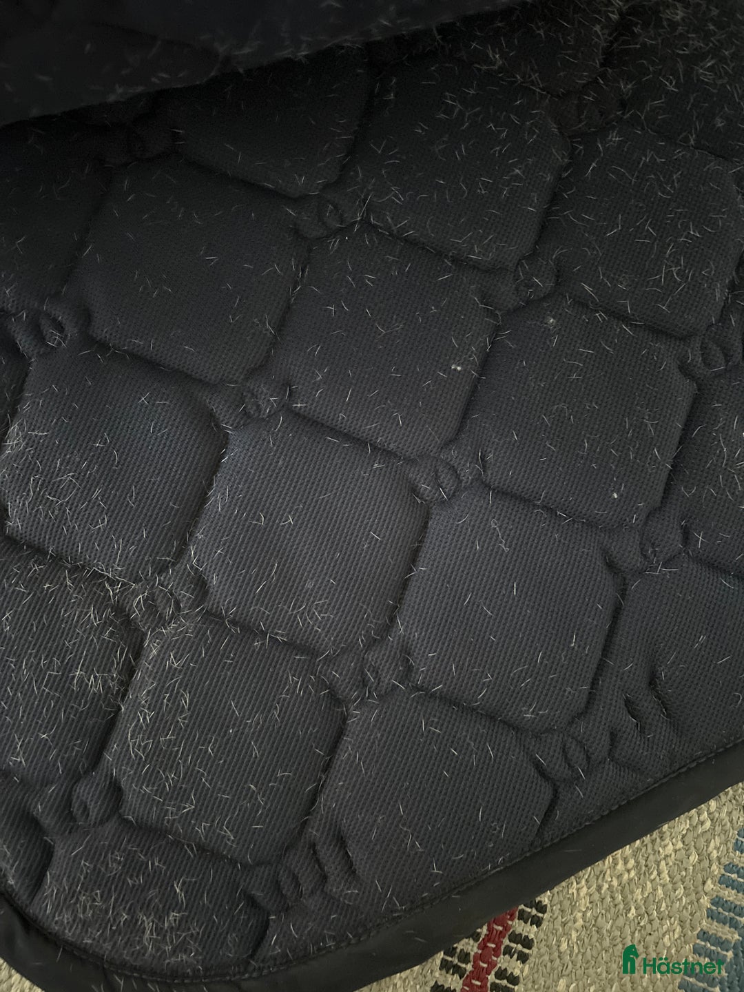 Schabrak & Vojlockar hästutrustning till salu: Dressyr schabrak från Equestrian Stockholm  i Bunkeflostrand - Annons 3