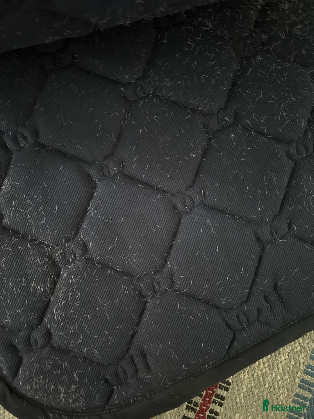 Schabrak & Vojlockar hästutrustning till salu: Dressyr schabrak från Equestrian Stockholm  i Bunkeflostrand - Annons 3