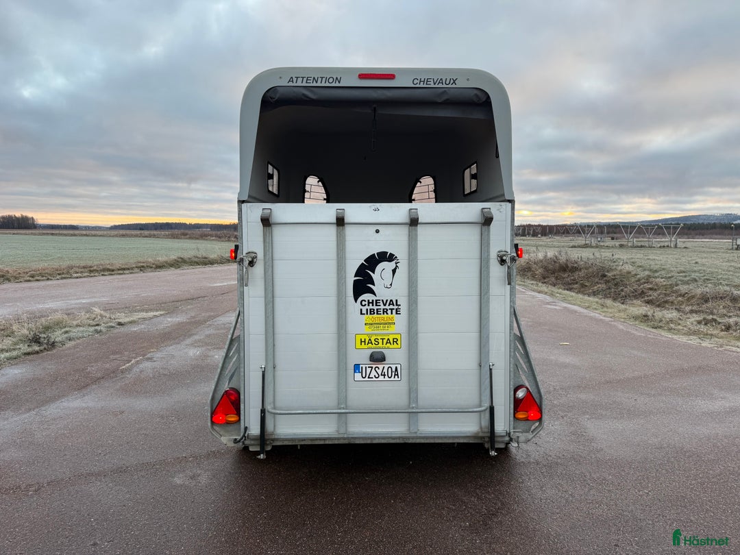 Hästtransporter  fordon & transport till salu: Cheval Gold2 - Toppskick! i Borlänge - Annons 4