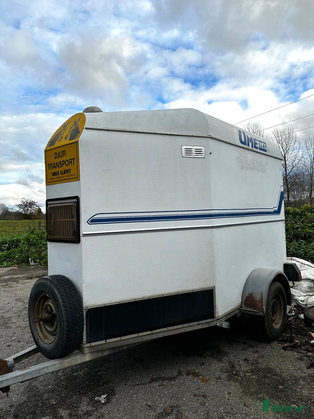 Hästtransporter  fordon & transport till salu: Låg totalvikt med hög lastvikt  i Täby - Annons 3