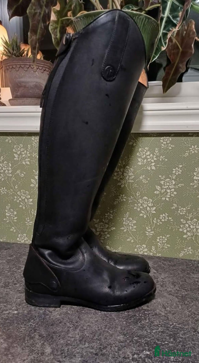 Ridstövlar ryttarutrustning till salu: Läderridstövlar strl 38 i Åtvidaberg - Annons 10