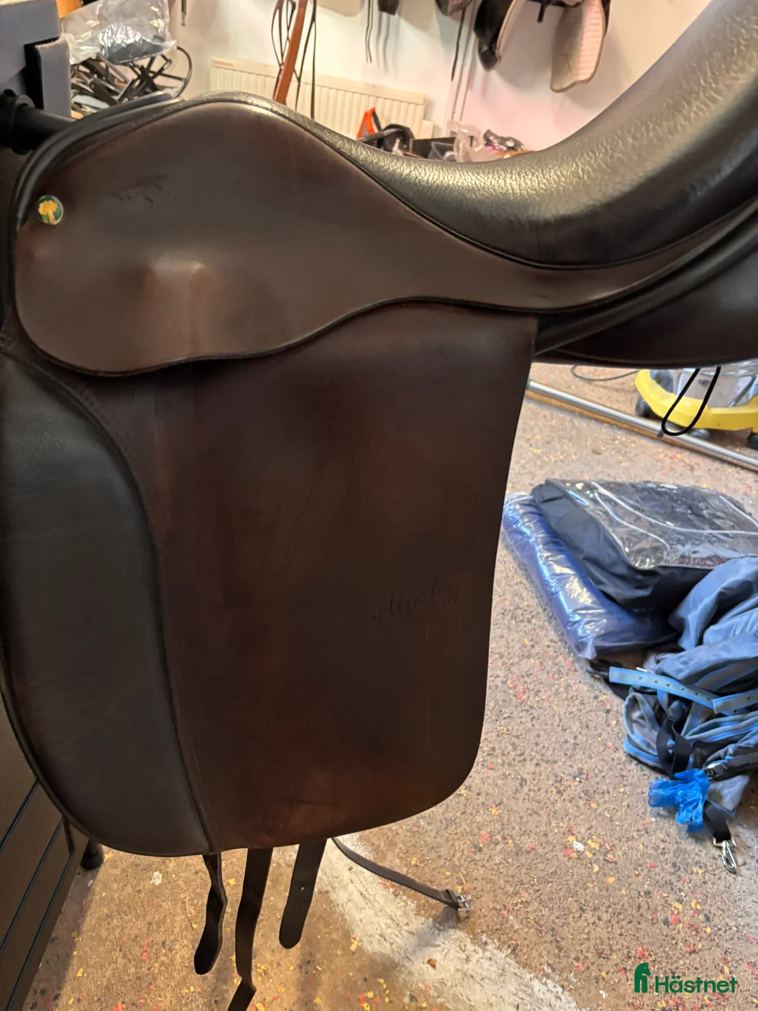 Sadlar hästutrustning till salu: Ainsley vanguard popular  i Tibro - Annons 2