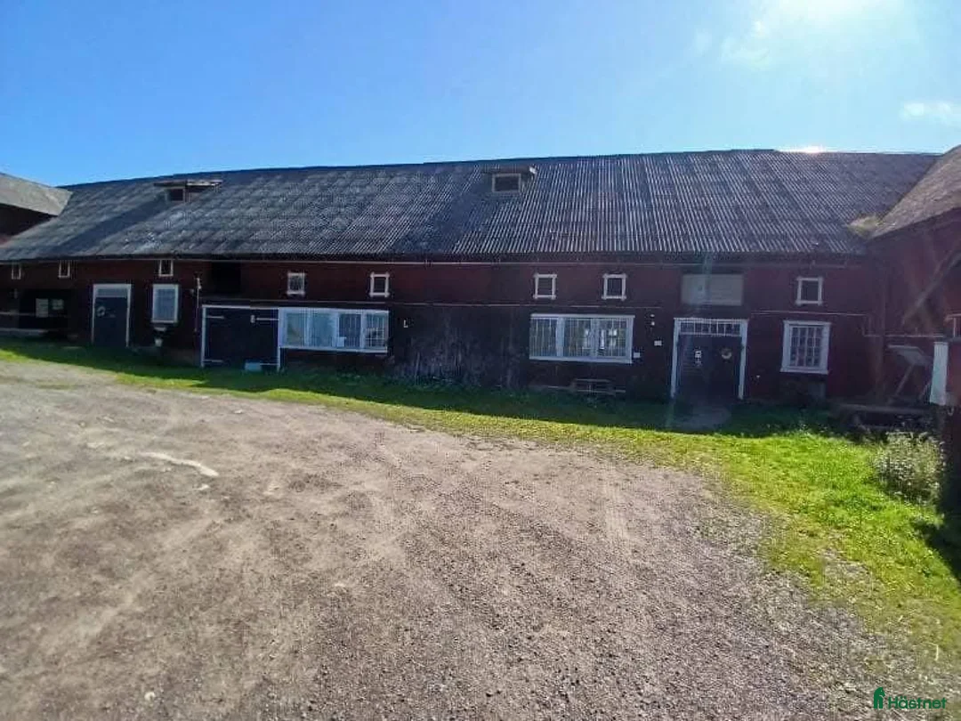  stallplats finnes: Stallplatser i litet mysigt stall i Norrköping i Norrköping - Annons 6