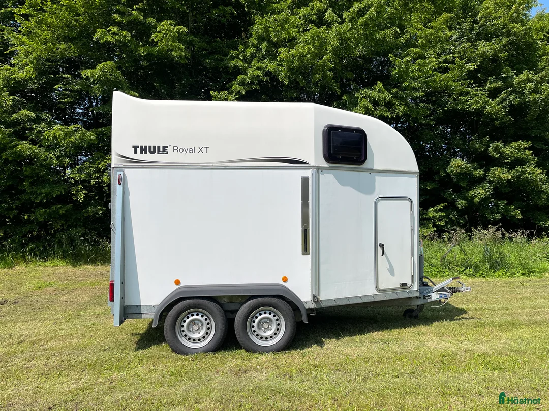Hästtransporter  fordon & transport till salu: Välskött Thule Royal XT hög lastvikt - Annons 1