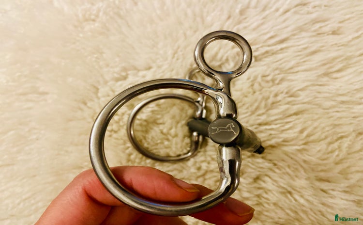 Bett hästutrustning till salu i Tjörnarp - Annons 19