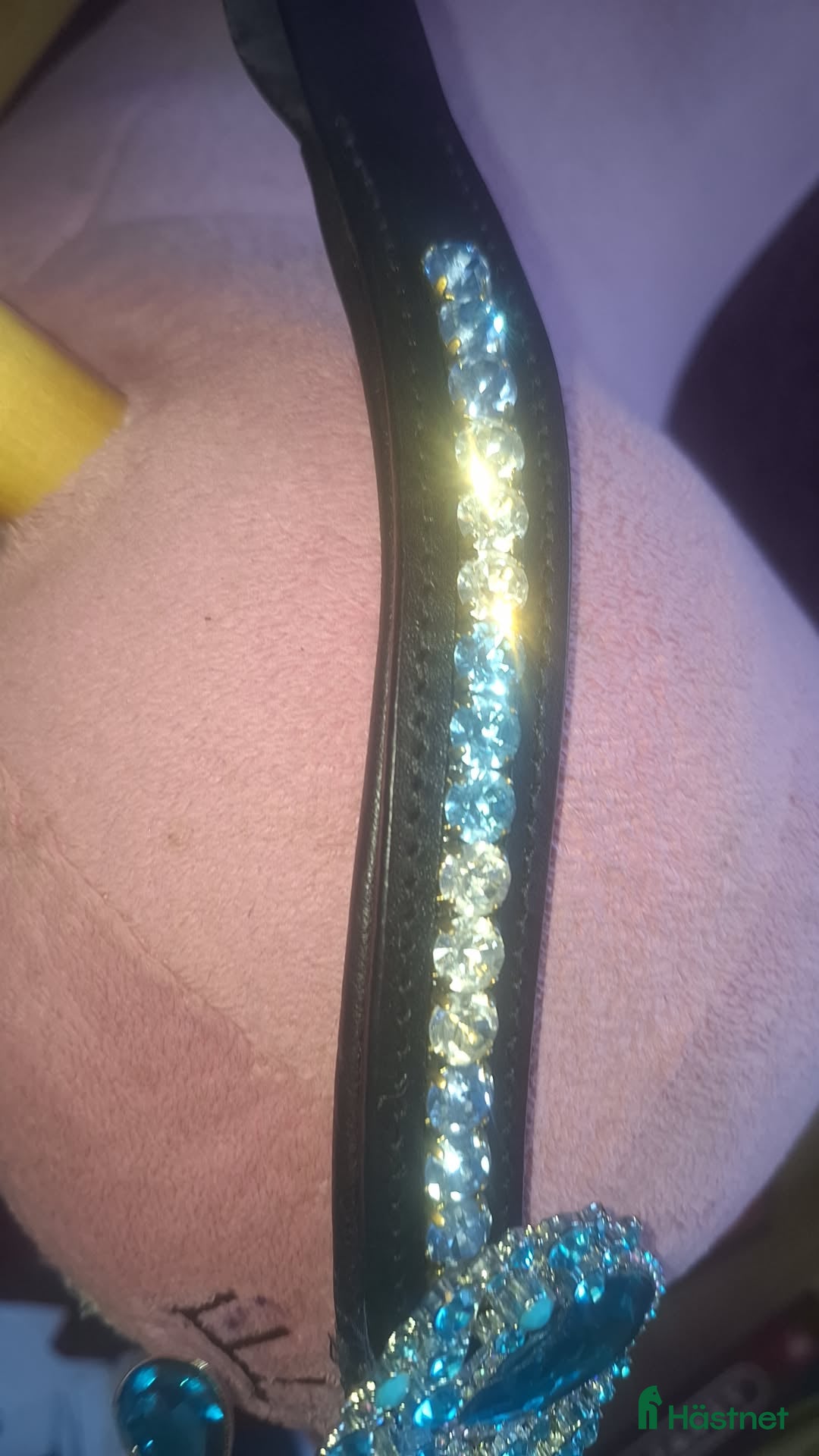 Träns hästutrustning till salu: 🌟panband till salu🌟 i Nora - Annons 3