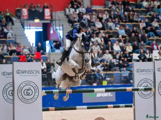 hästar Drömhäst🌟❣️ i Boda Kyrkby - Annons 8