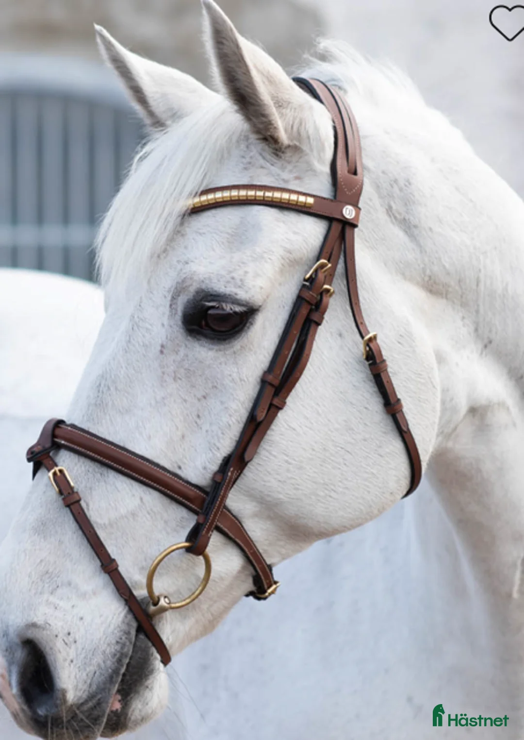 Träns hästutrustning till salu: Brunt Jacson Aachenträns  - Annons 1