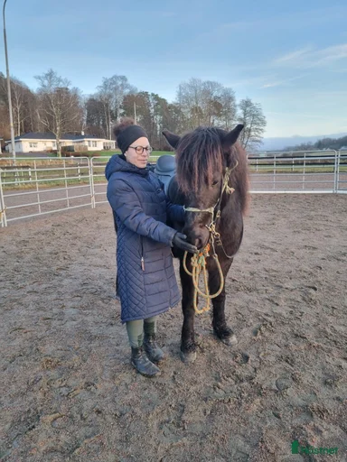 Galleribild {{count}}