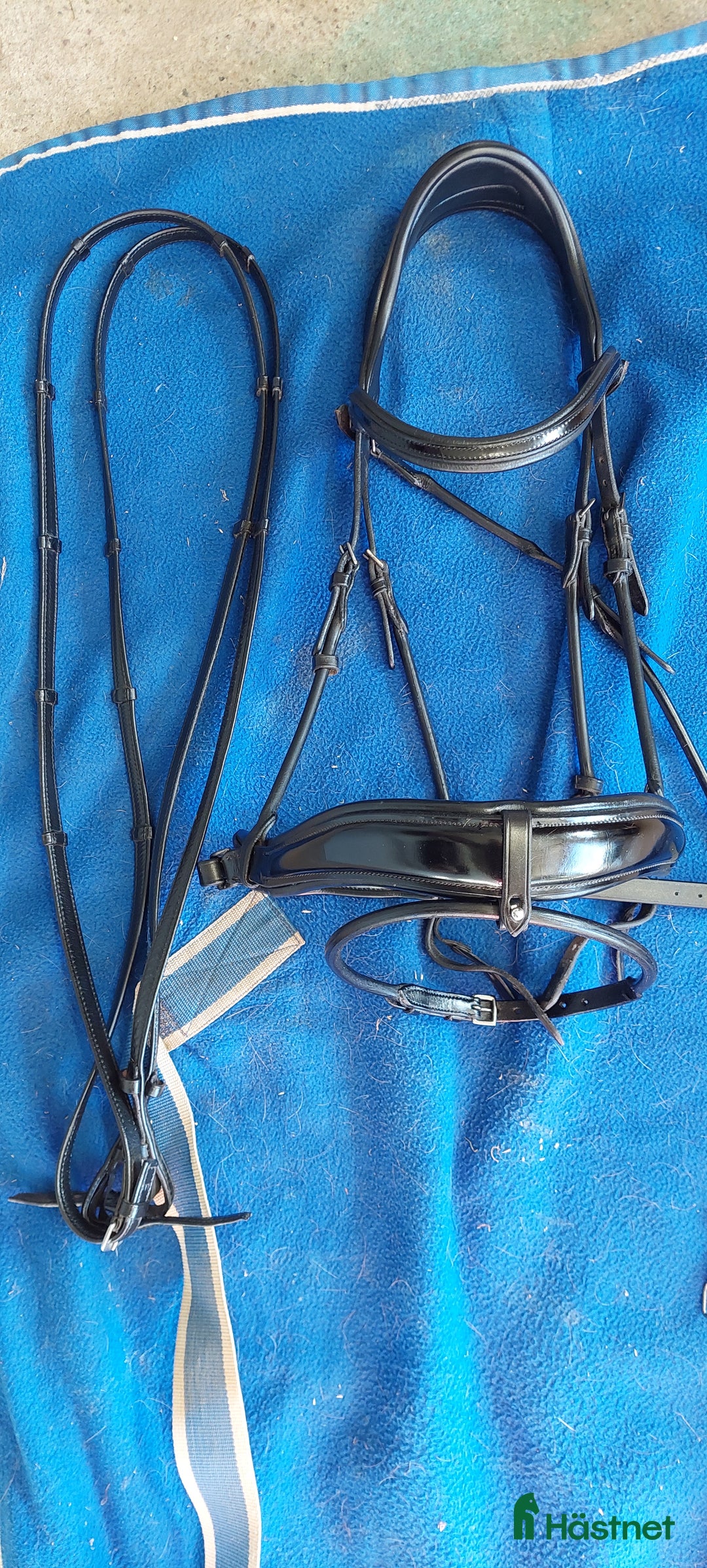 Träns hästutrustning till salu: PS träns  i Frändefors - Annons 7