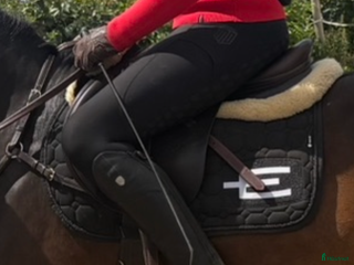 Schabrak & Vojlockar hästutrustning till salu: Fint equiline tillsalu! i Arlöv - Annons 21