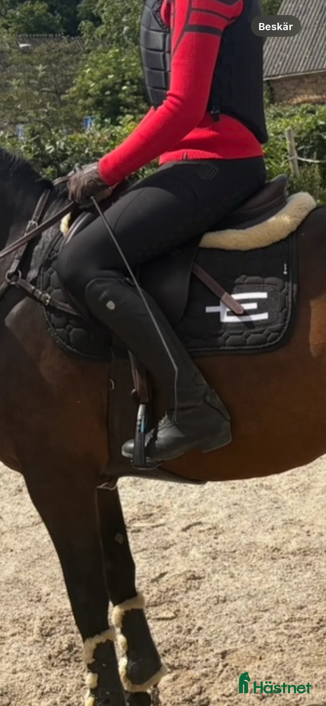 Schabrak & Vojlockar hästutrustning till salu: Fint equiline tillsalu! i Arlöv - Annons 1