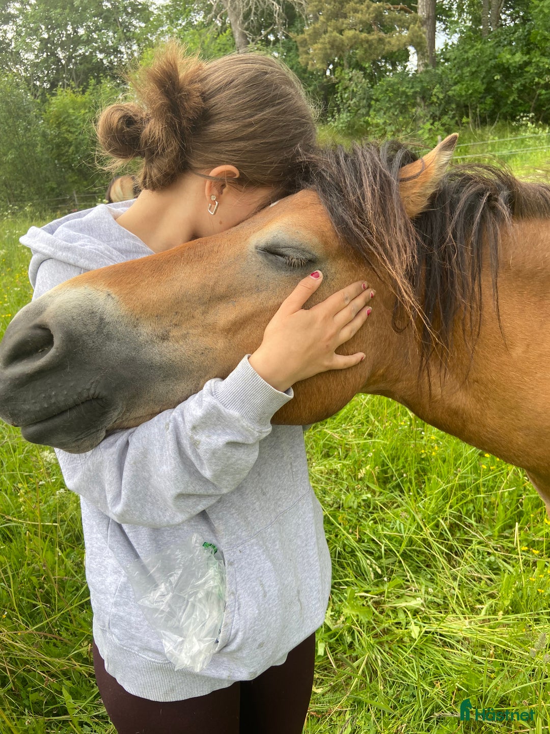 Allround hästar till salu: Kapabelt sto med klass  i Västerås - Annons 4