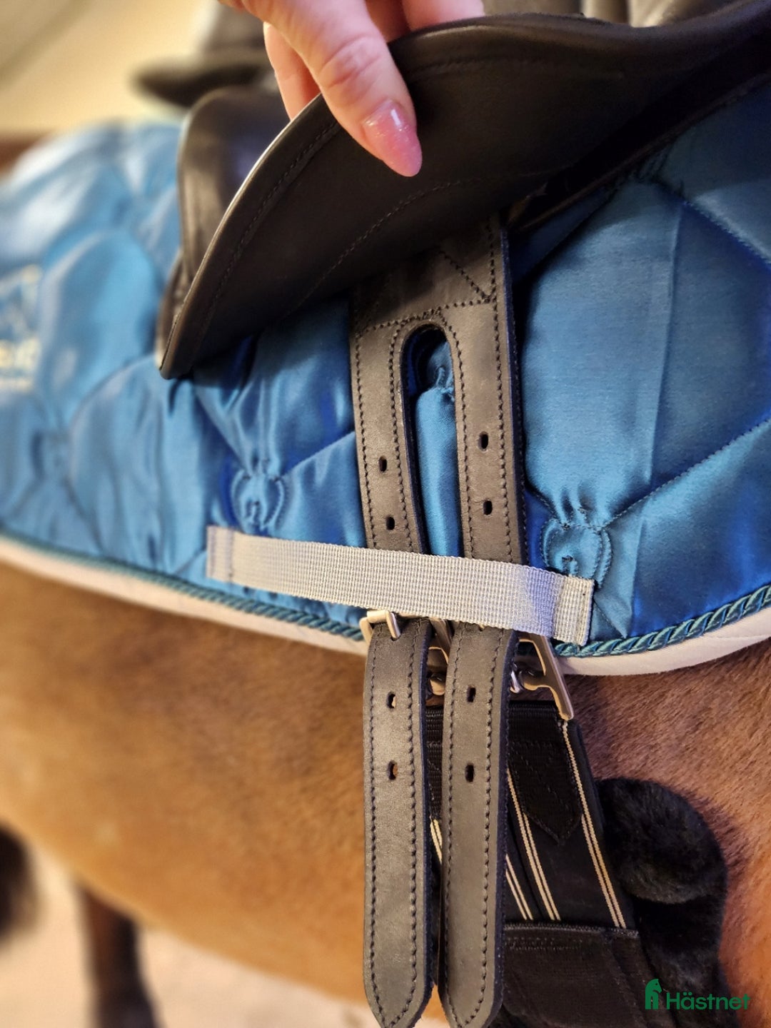 Sadlar hästutrustning till salu: Hopp/fälttävlanssadel med enkåpa i Borlänge - Annons 3