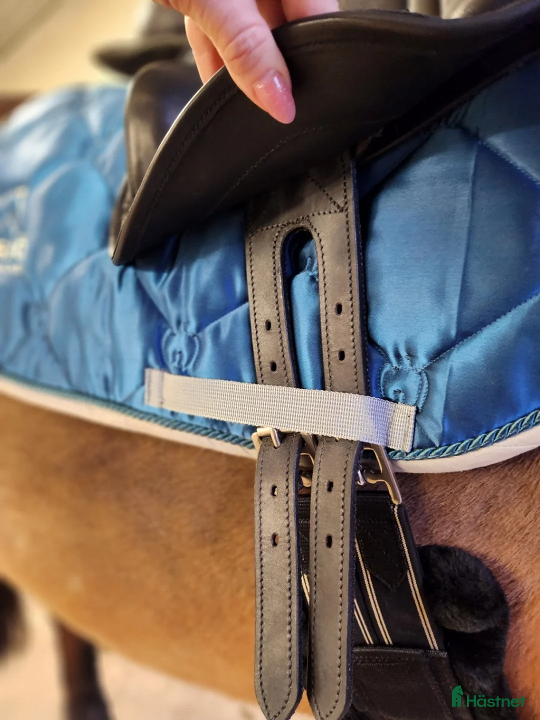 Sadlar hästutrustning till salu: Hopp/fälttävlanssadel med enkåpa i Borlänge - Annons 3