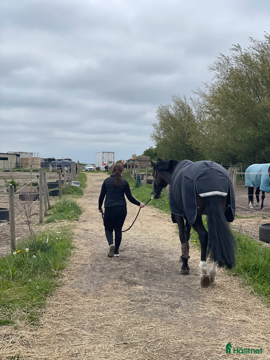 Galleribild {{count}}