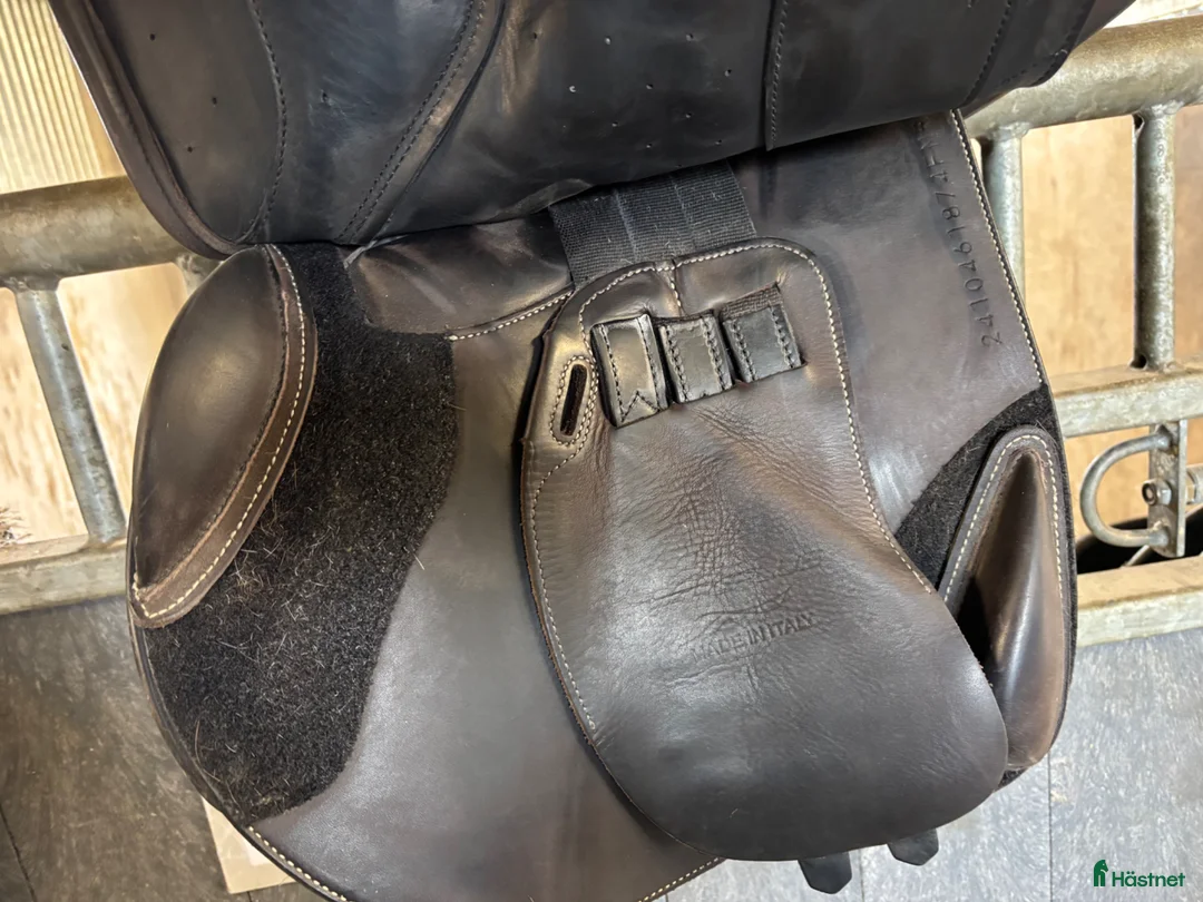 Sadlar hästutrustning till salu: Erreplus i superskick - Annons 2