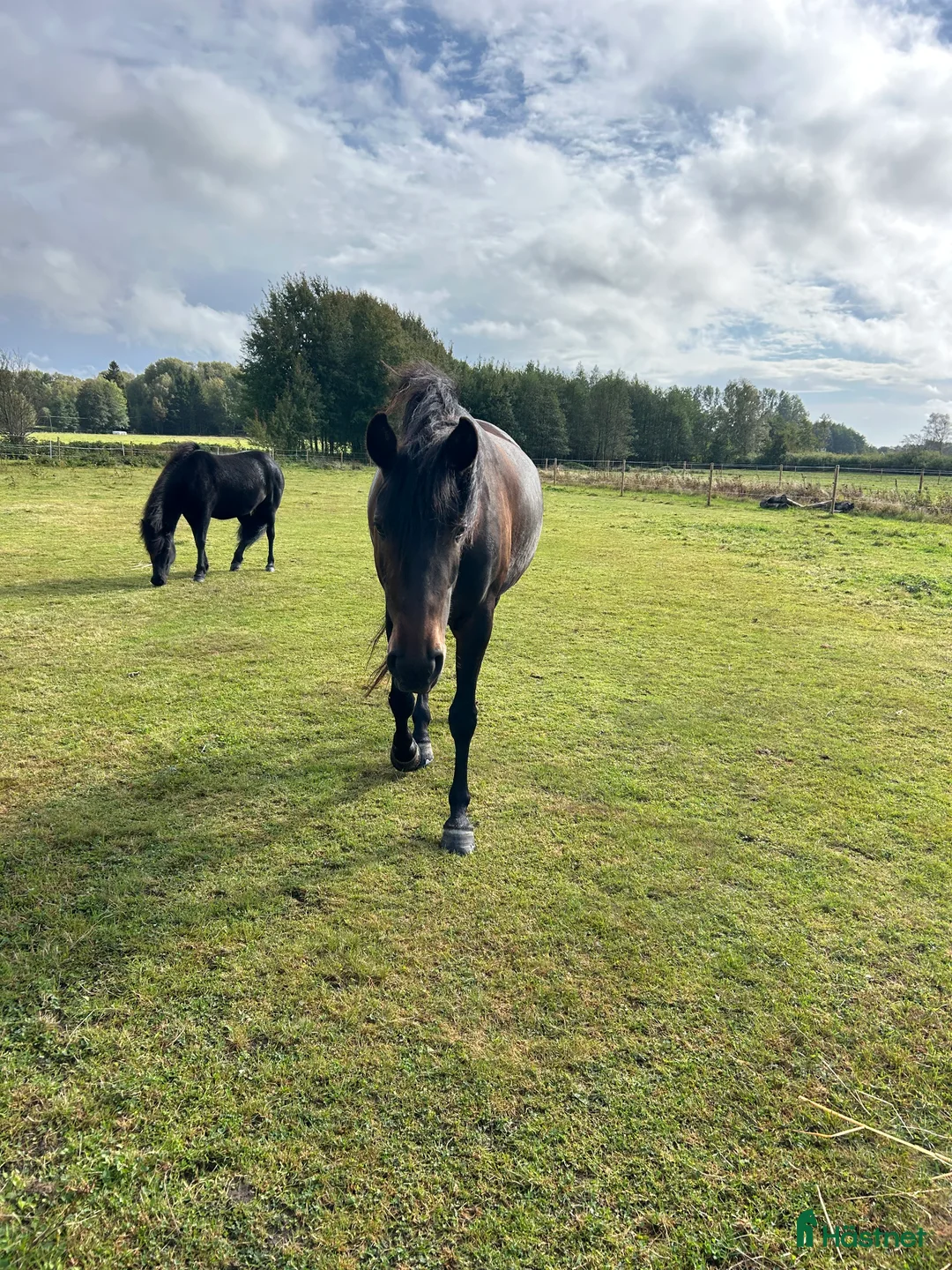 Galleribild {{count}}