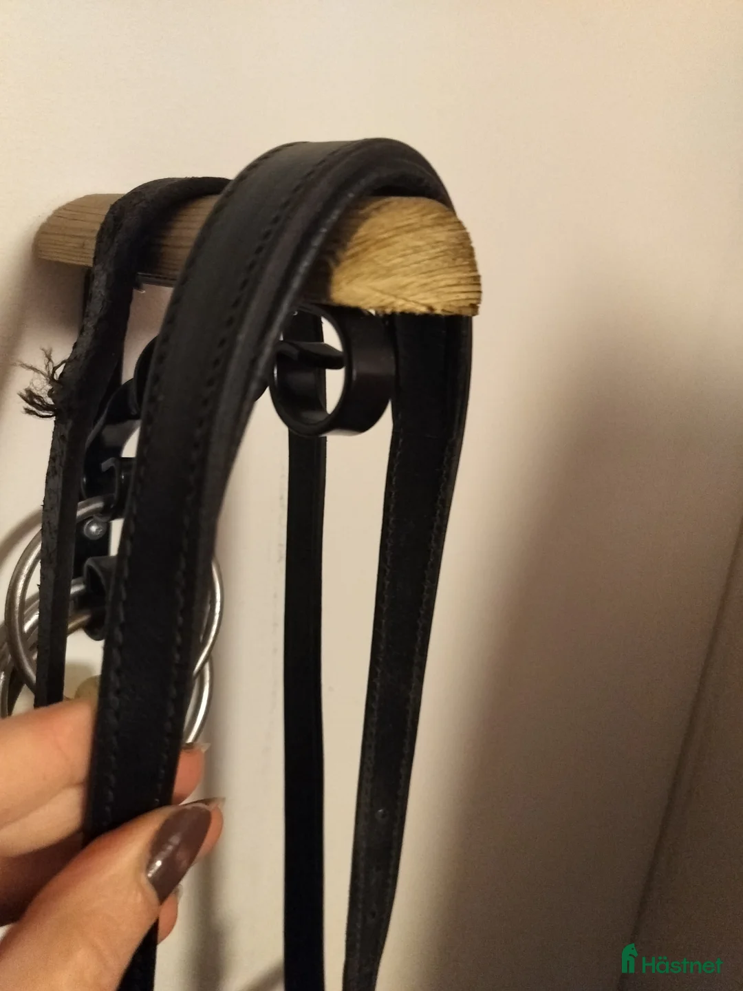 Träns hästutrustning till salu: Fint cavemore i Luleå - Annons 2