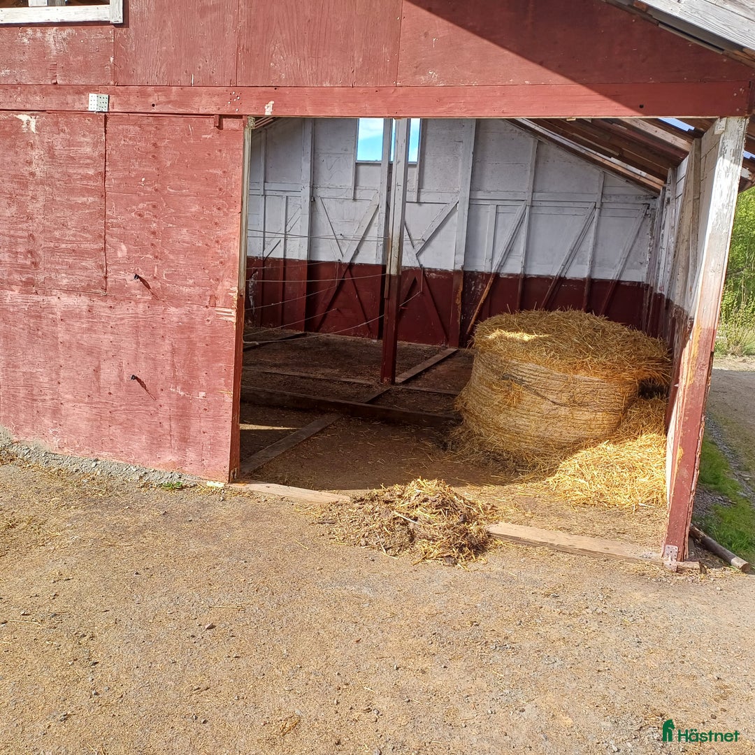  stallplats finnes: Lösdrift i Torslanda - Annons 8