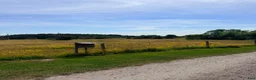  stallplats finnes: Lösdriftsplats för islandsvalacker- Vallentuna - Annons 11