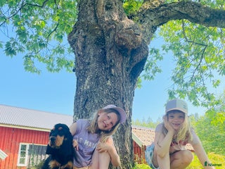 Allround hästar till salu: Har du våran stärna i Floda - Annons 1