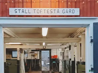 stallplats Stallplats för islandshäst Brottby - Annons 12