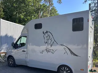 Hästlastbilar fordon & transport till salu: Renault Master B-kortshästlastbil - Annons 6