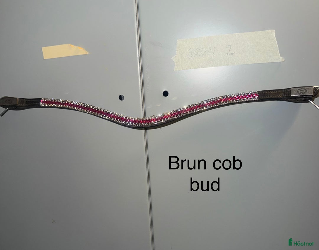 Träns hästutrustning till salu: Ps pannband i Färgelanda - Annons 5