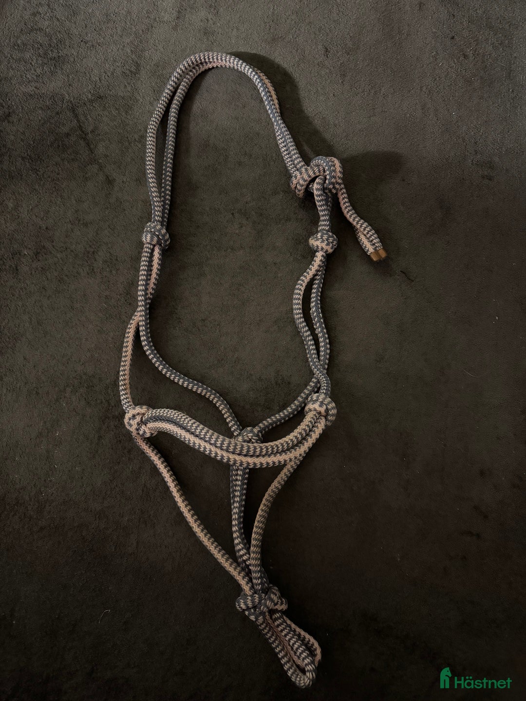 Övrig Hästutrustning hästutrustning till salu: Grimma  i Eskilstuna - Annons 2