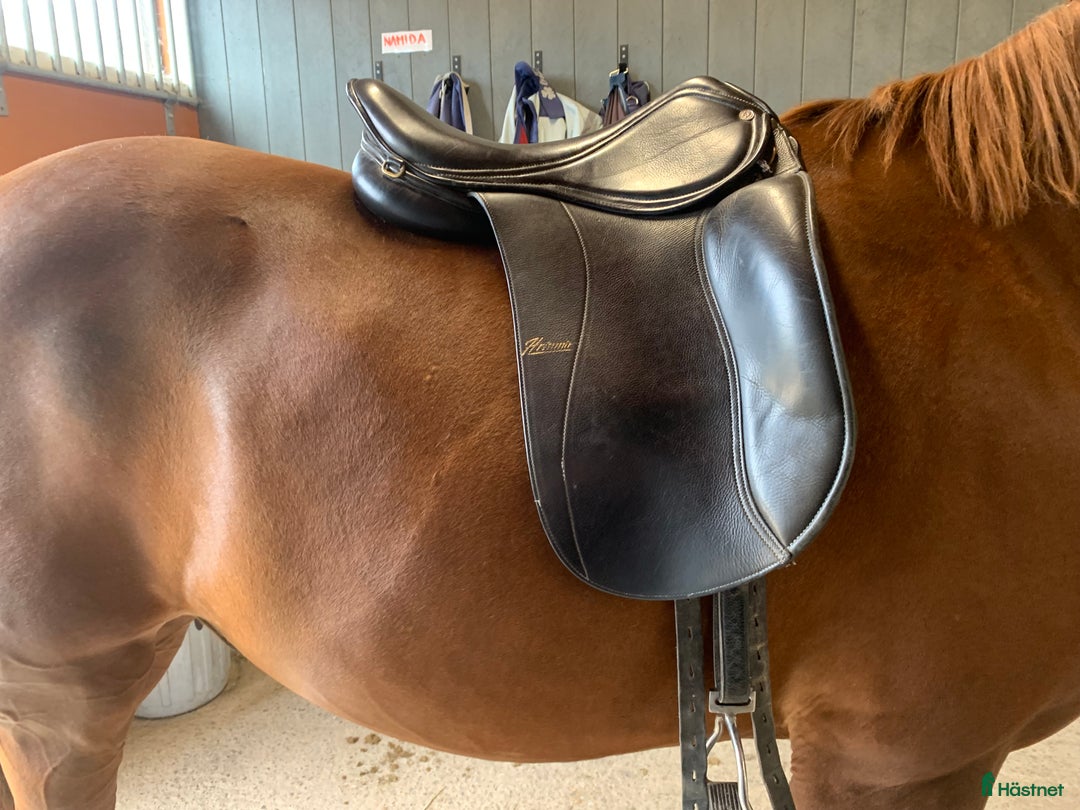 Sadlar hästutrustning till salu: Hrimnir pro 17,5” i Fagersta - Annons 2