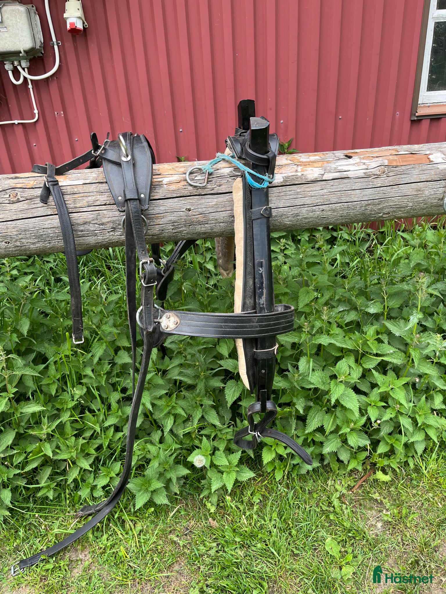 Körselar körning till salu: Loksele - Annons 3