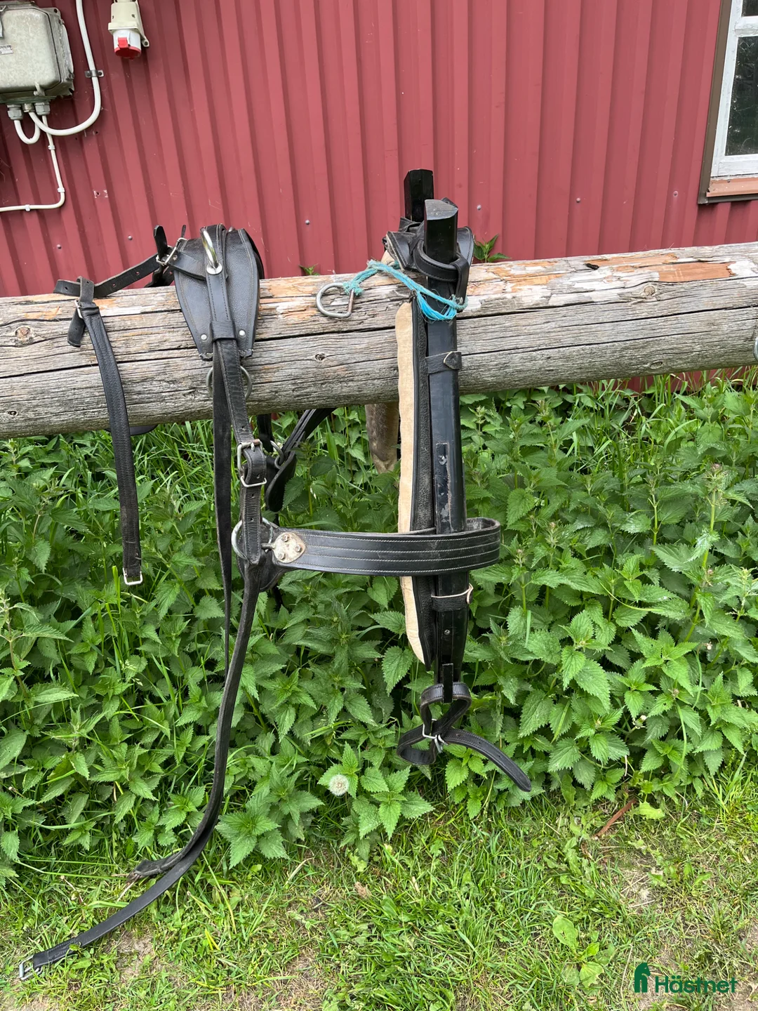 Körselar körning till salu: Loksele - Annons 1