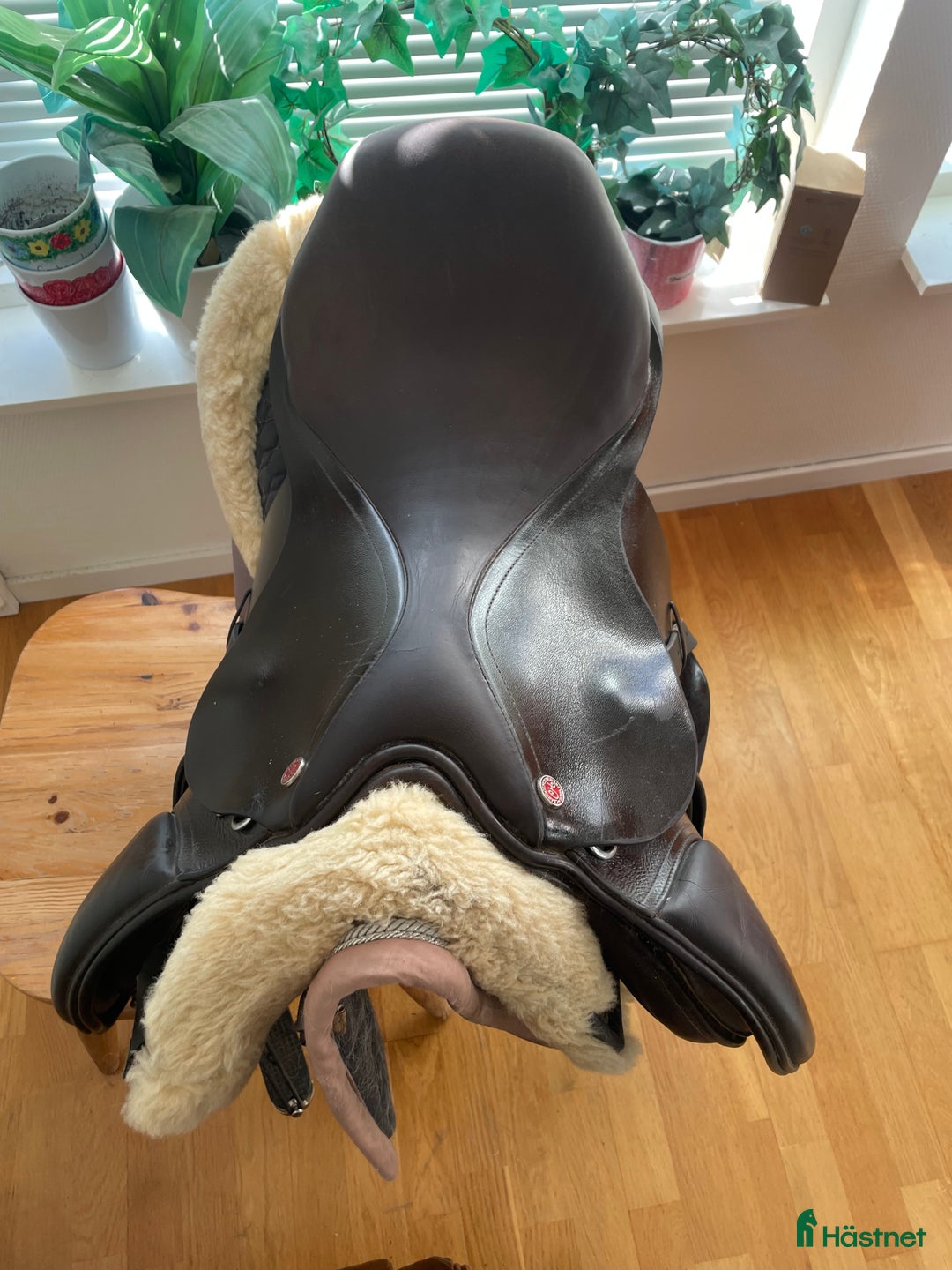 Sadlar hästutrustning till salu: hopp/allround sadel  i Ängelholm - Annons 3