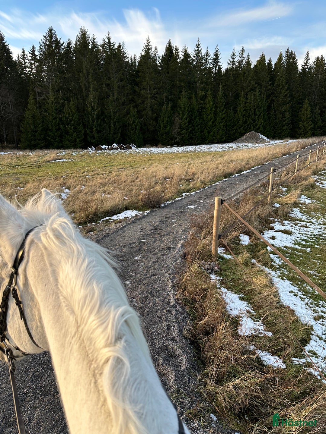  stallplats finnes: Boxplats med det mesta i Österhaninge - Annons 9