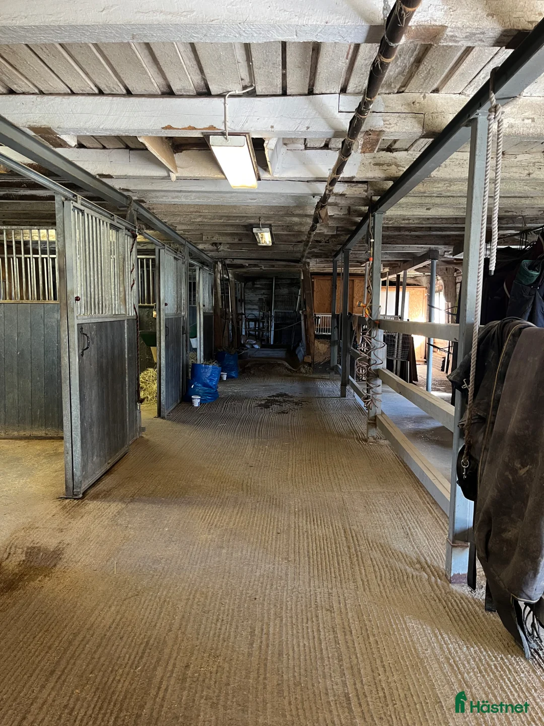  stallplats finnes: Ledig boxplats i litet kollektiv - Annons 2