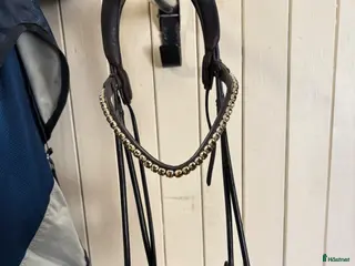 Träns hästutrustning Dressyrträns Equemist säljes! - Annons 4