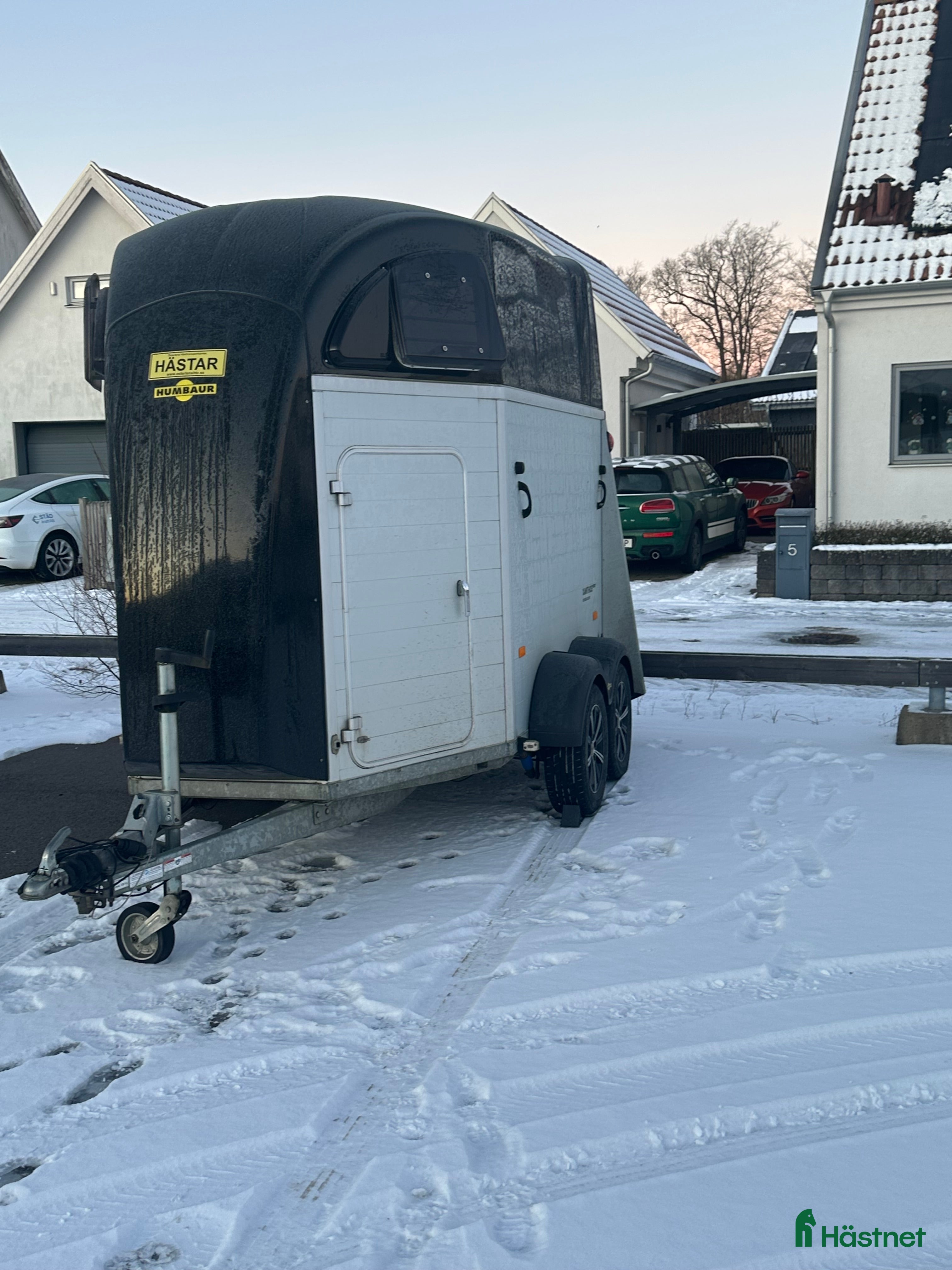 Hästtransporter  fordon & transport till salu: Humbaur hästtransport - Annons 5