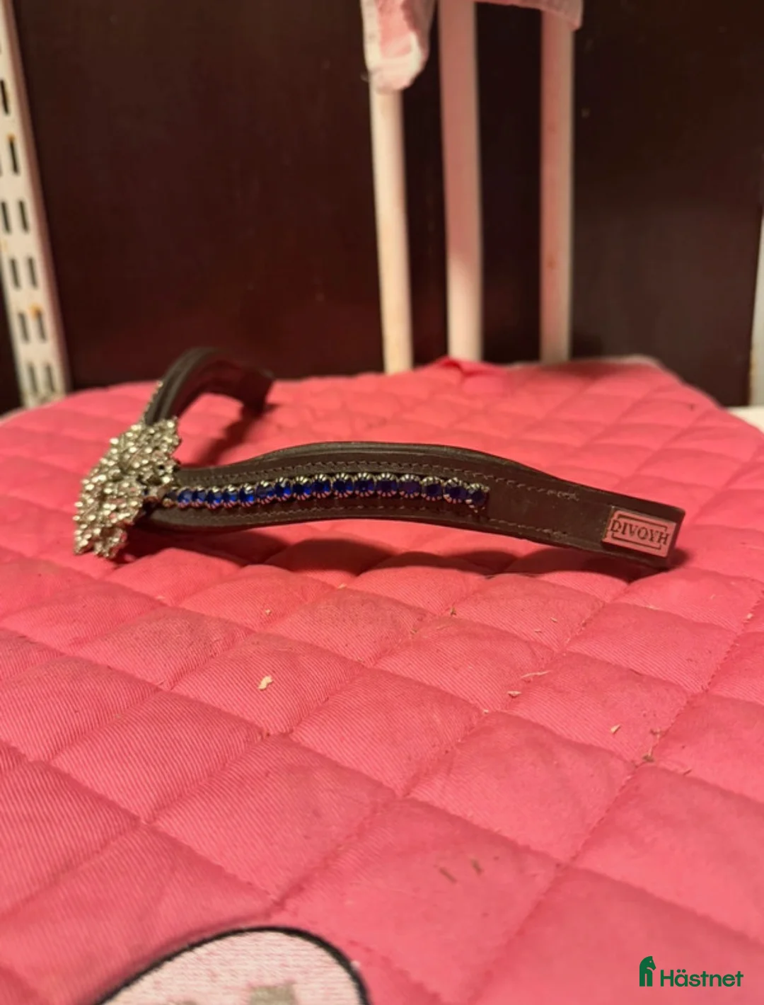 Träns hästutrustning till salu: Divoyh pannband - Annons 1