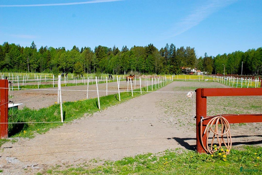  stallplats finnes: Stallplats Tumba| Ridhus, träning & bra kommunalt! i Tumba - Annons 4
