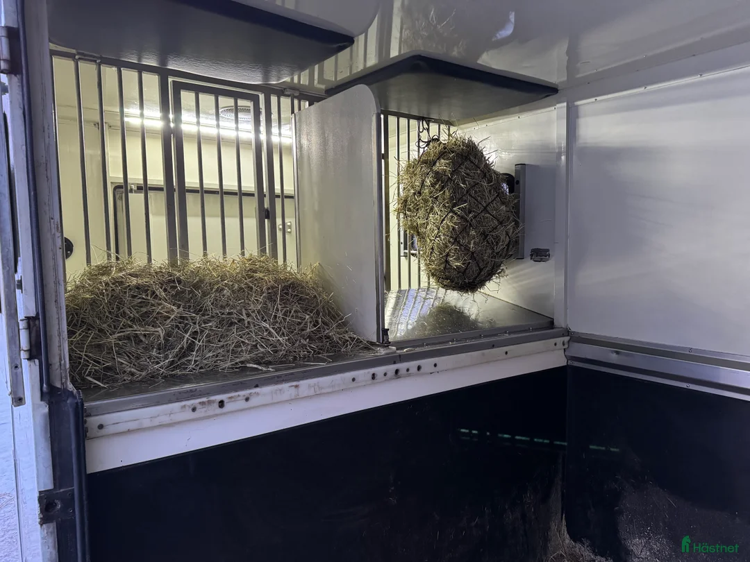 Hästlastbilar  fordon & transport till salu: RENAULT MASTER AMELINE 3 sits 2017 Nyservad! - Annons 12